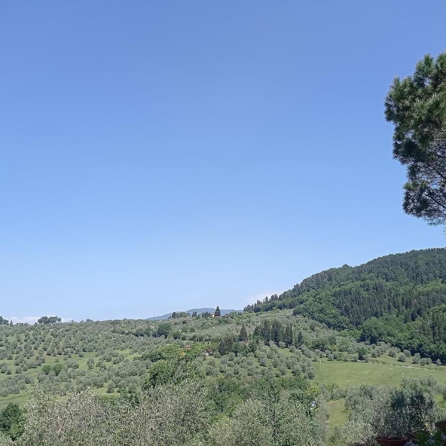 La Guelfa 64 Daire Pontassieve Dış mekan fotoğraf